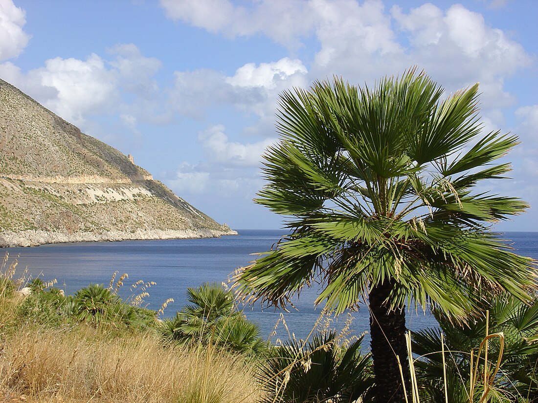 Riserva naturale orientata dello Zingaro