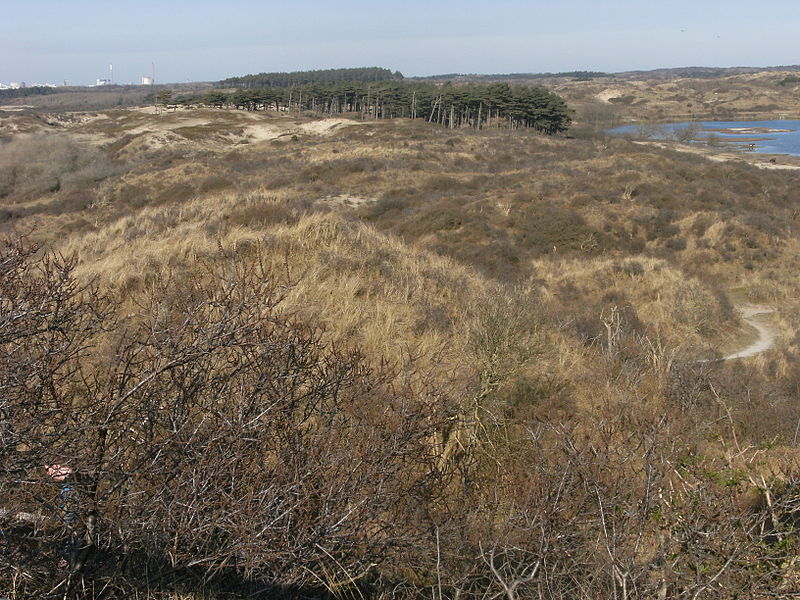 File:Zuid-Kennemerland 20110327 39.JPG