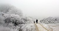 Winter in Berkheide