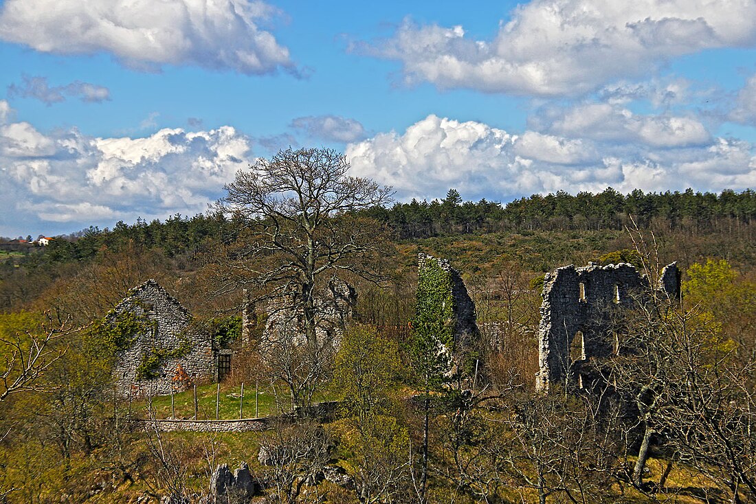 Grad Školj