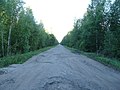 Дорога между Бойтовым и Никульским - panoramio.jpg