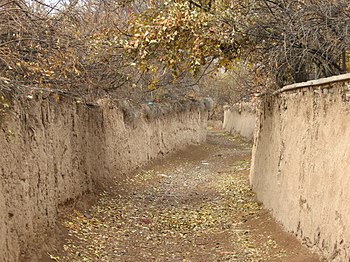 کوچه باغات ارسنجان در زمستان