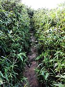 茂名电白鹅凰嶂越野穿越