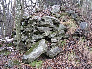 髻山城の石垣