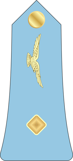 File:08.Madagascar Air Force-CWO.svg