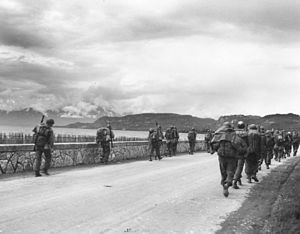 Vereinigte Staaten 10Th Mountain Division: Geschichte, Organisation, Abzeichen