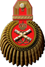 An epaulette of a general-field marshal of the Russian Empire, c. 1912. 1912ir018-e01.png