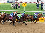 Thumbnail for Thoroughbred racing