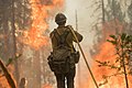 In Kalifornien kommt es immer häufiger zu Waldbränden.