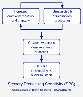 Sensory processing sensitivity