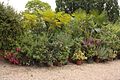 Letnění hrnkových rostlin pěstovaných v ineteriérech a zimní zahradě zámku může být i příležitostí k zkrášlení zahrady.