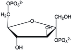 Miniatura para Fructosa-2,6-bisfosfato