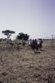 ASC Leiden - F. van der Kraaij Collection - 07 - 034 - Au moins six cavaliers Mossi avec des selles traditionnelles - Poura-Basméré, Balé, Boucle du Mouhoun, Burkina Faso, 1981.tif