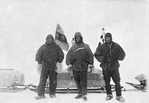 Sydpolsekspeditioner: Baggrund, Sydpolarforskningens anden periode, Kapløbet til sydpolen