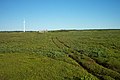 ATV Damage, Bog at North Cape, PEI (5982963192).jpg