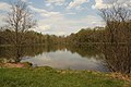 A lake in Kennedy's Valley, Perry County PA with dormant alder trees.jpg
