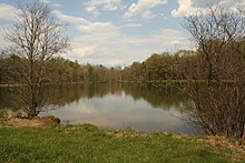 A lake in Kennedy's Valley, Perry County PA A lake in Kennedy's Valley, Perry County PA with dormant alder trees.jpg