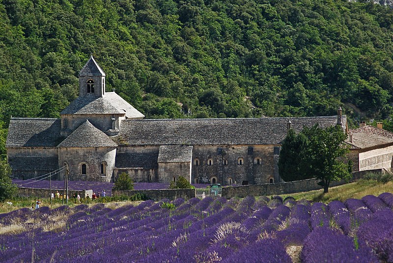 File:Abbaye de Sénanque.jpg