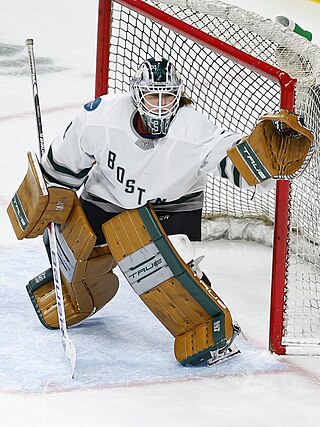 <span class="mw-page-title-main">Aerin Frankel</span> American ice hockey player