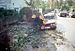 October 16: aftermath of the Great Storm of 1987. Aftermath of the Great Storm of 1987.jpg