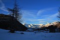 Aletschhorn bis Finsteraarhorn