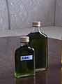 An experimental batch of hemp oil produced in bottles in Buryatia