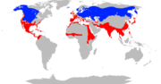 Aire de répartition du Canard souchet