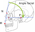 Vignette pour Angle facial