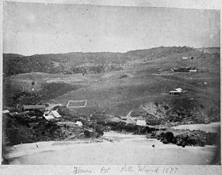 <span class="mw-page-title-main">Flowerpot Bay</span> Place in Chatham Islands, New Zealand