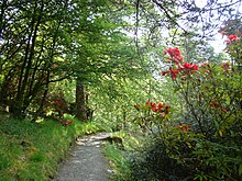 Ardkinglas Garden, near Loch Fyne Ardkinglas Garden2009a.JPG