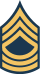 Army-USA-OR-08b.svg