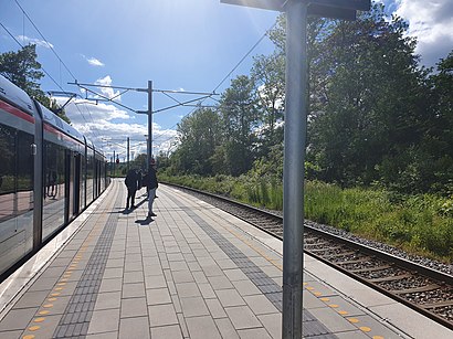 Sådan kommer du til Assedrup med offentlig transport – Om stedet