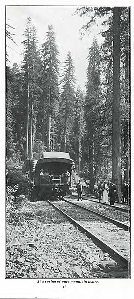 File:At a spring of pure mountain water - 1917CW ThroughRedwoods page 10.jpg