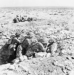חיילים אוסטרליים מאיישים עמדה בקו החזית בטוברוק.