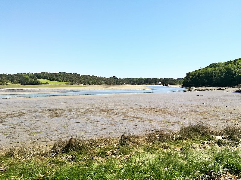 File:Aven à marée basse Névez.jpg