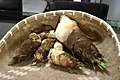 Whole bamboo shoots after being harvested