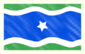 Bandeira de Entre Rios de Minas