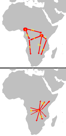 1 = 3000 — 1500 до н. э. появление2 ~ 1500 до н. э. первая миграция     2.a = Восточные банту,  2.b = Западные банту3 = 1000—500 до н. э. создание культуры Уреве восточными банту4 — 7 = продвижение на юг9 = 500 до н. э. — 0 появление народа Конго, этнической макрогруппы банту.10 = 0 — 1000 заключительная фаза