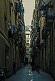 Barcelona Gotico (164965751).jpeg