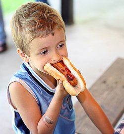 Pølse I Brød: Pølsebrød, Krydder og garnityr, Varianter