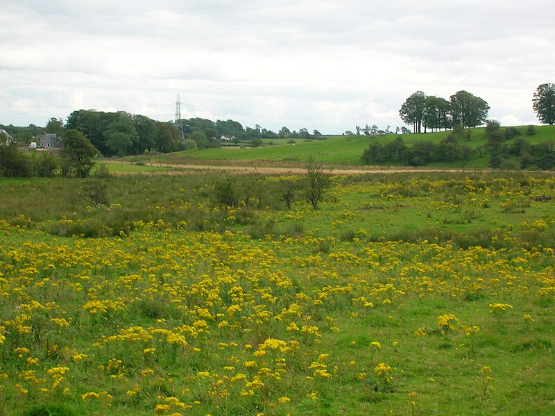 File:Boghall across Loch Brand.jpg