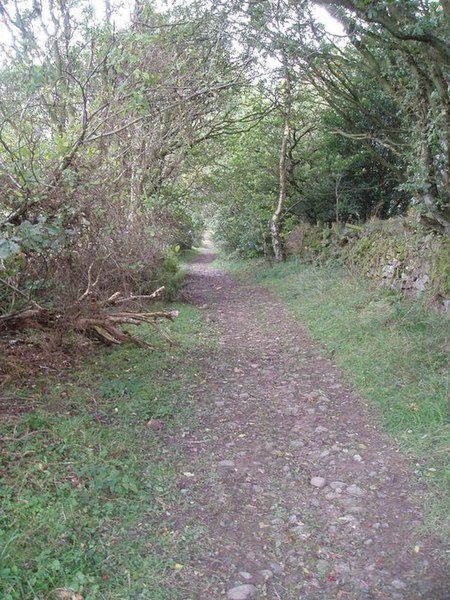 File:Bridleway near Low Gate - geograph.org.uk - 296975.jpg