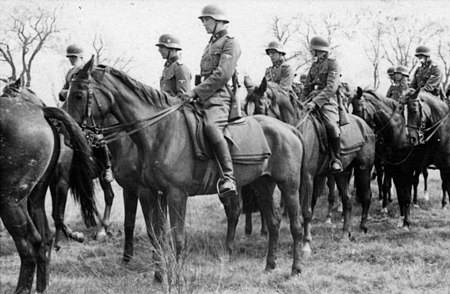 Bundesarchiv Bild 101III-Adendorff-002-18A, Russland, SS-Kavallerie-Brigade.jpg