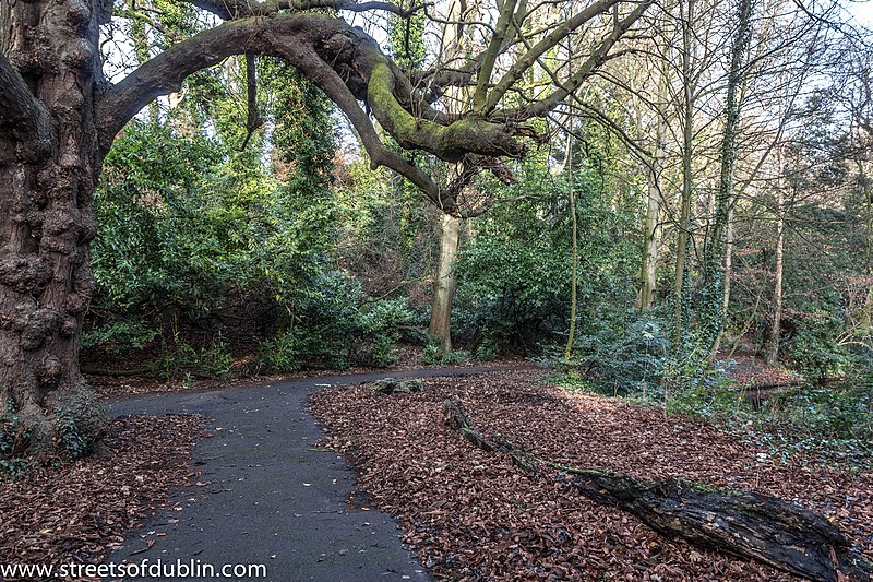 File:Bushy Park, Dublin (8390606258).jpg