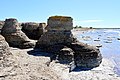 Byrums Raukar near Sandvig on the island Öland II * Wiki Loves Earth 2020