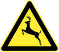 注意野生动物（鹿示例）
