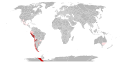 Variante lambda del SARS-CoV-2