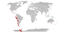 Variante lambda del SARS-CoV-2