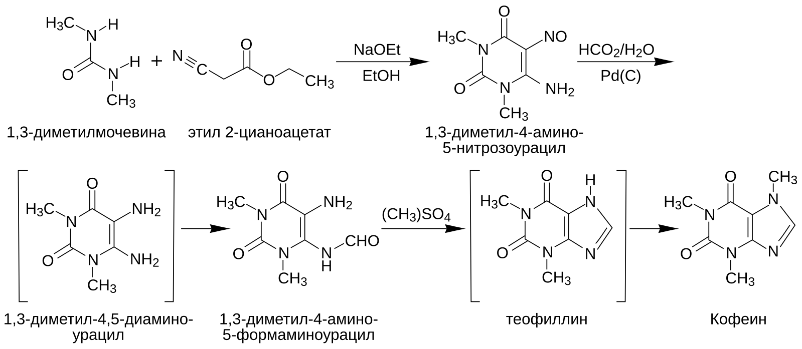 Получение кофеина. Синтез кофеина из мочевой кислоты. Синтез ксантина метод Траубе. Синтез кофеина теофиллина. Синтез кофеина по методу Траубе.