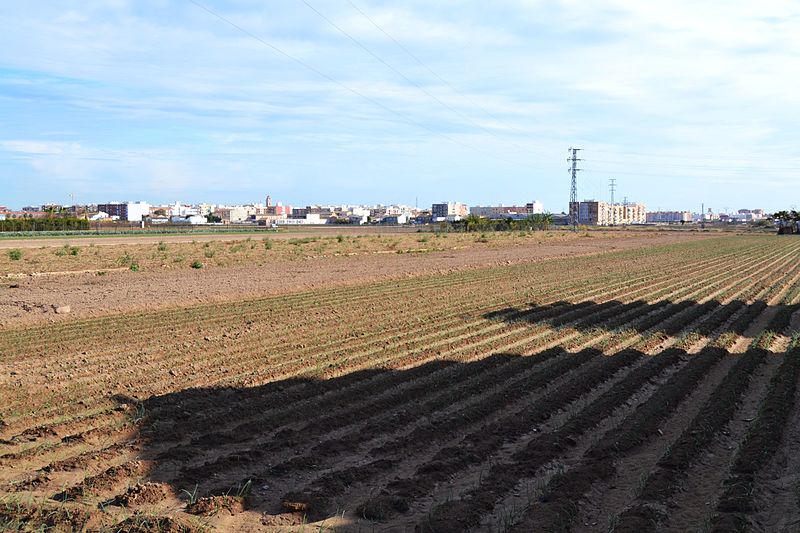 File:Camp pel racó de l'Anell amb Tavernes Blanques al fons.JPG